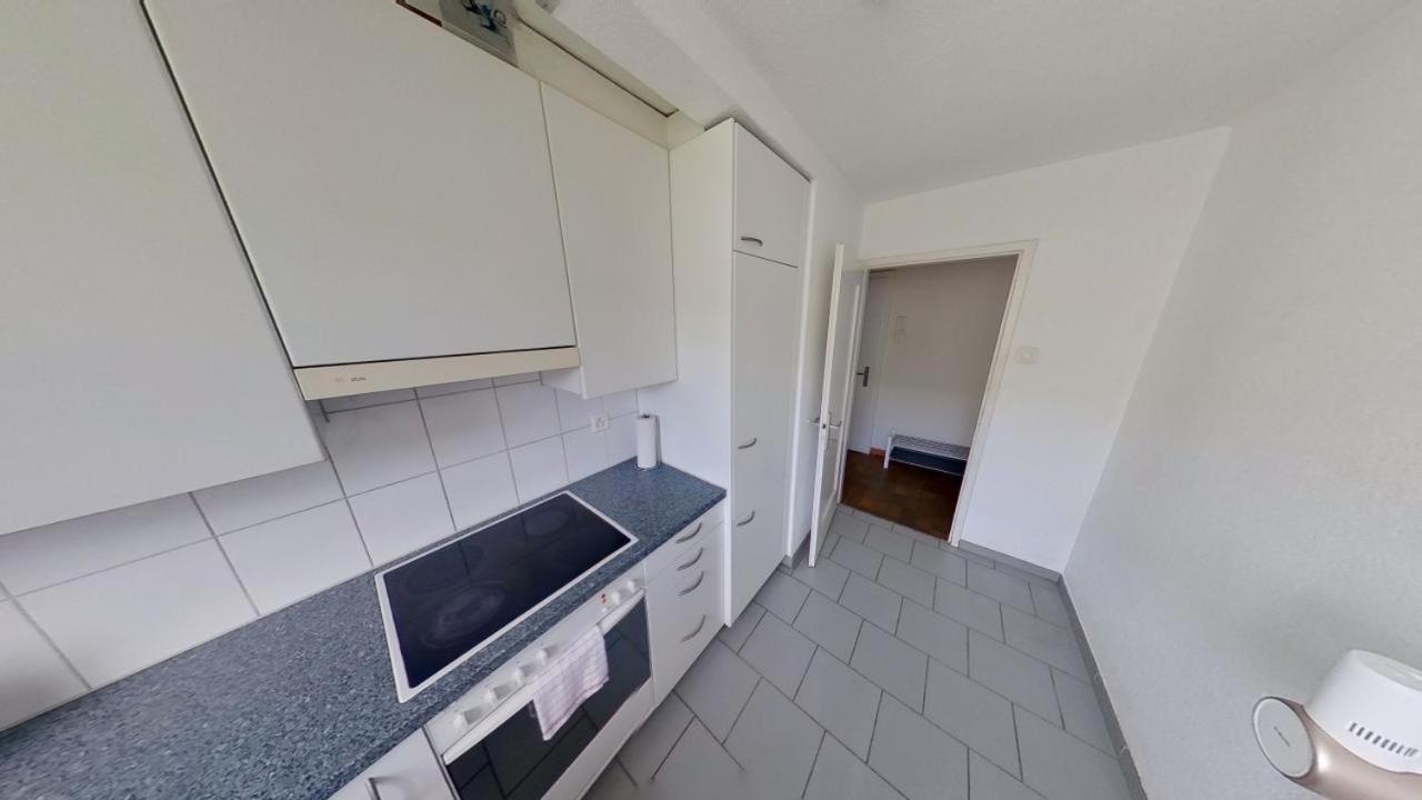 Appartement Duebendorfstrasse 171 à Zurich Extérieur photo